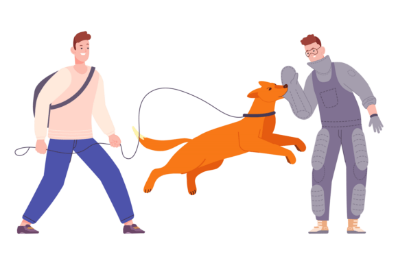 Fight Dog Training Pet Attack Man Chara Review